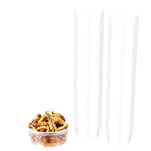 ZIYIZE 100 Pcs Crested Gecko Food and Water Cups ZIYIZE 0.5oz Reptile Feeder Bowls Gecko Food Cups Crested Gecko Accessories Replacement Food Dish for Crested Lizards Tarantula and Other Small Pets