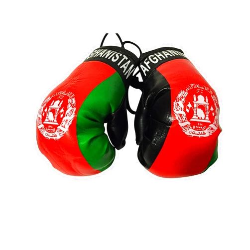 FNG Mini Boxing Gloves Flag Mini Small Boxing Gloves to Hang Over Car Automobile Mirror – Asia & Africa
