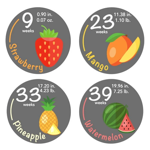 Bebon Bump Stickers - 40 Weekly Pregnancy Tracking Stickers – Week 5 to 40 + 4 Bonus Stickers – Pregnancy Photo Prop – Fruit 3.93 Inch