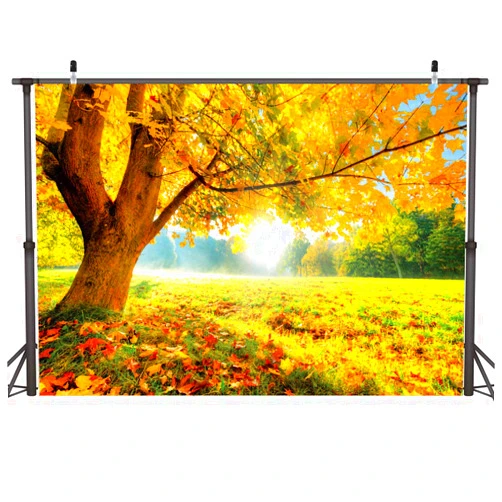 LYWYGG 10x8FT Autumn Golden Maple Deciduous Photography Background Fall Photo Backdrop Wedding Backdrop Newborn Photography Backdrops CP-189-1008