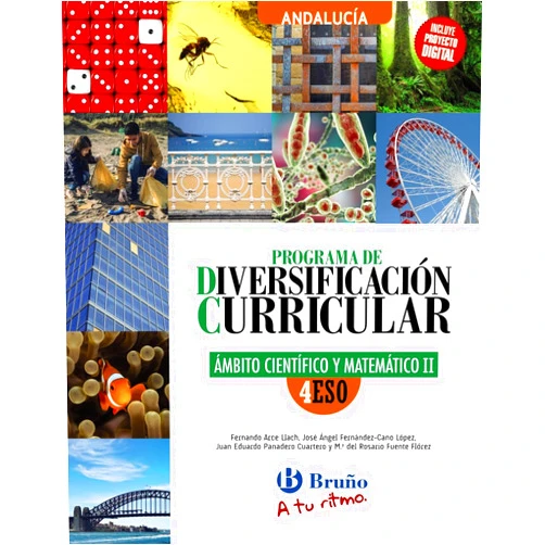 Juan Eduardo Panadero Cuartero,María Rosario Fuente Flórez,Fernando Arce Llach,José Ángel Fernández-Cano López Diversificación Curricular Ámbito Científico y Matemático 4 ESO