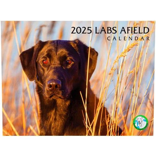 Silver Creek Press 2025 Labs Afield Wall Calendar