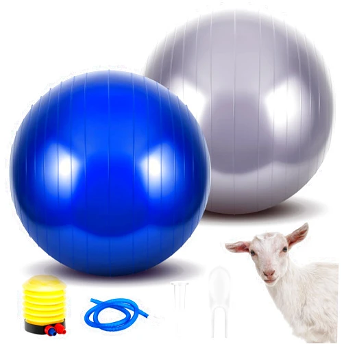 Sotiff 2 Pcs Herding Goat Ball Large PVC Exercise Training Ball with Inflator Pump for Dogs, Goats, Horses Outdoor Entertainment
