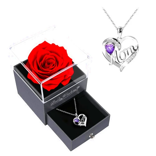 Childom Preserved Rose Birthday Gifts for Women,Red Preserved Flowers Christmas Rose Gifts for Women,Fresh Real Rose Flower with Necklace Mom,Grandma,Wife Gifts for Christmas,Thanksgiving