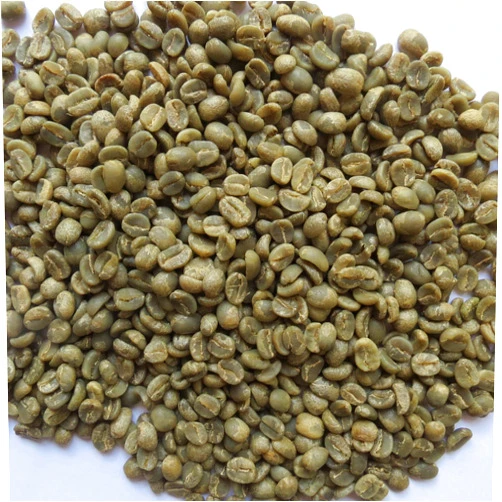 Primos Coffee Co. 10 Lb, Single Origin Unroasted Green Coffee Beans, Specialty Grade From Single Nicaraguan Estate, Direct Trade (Caturra Varietal)