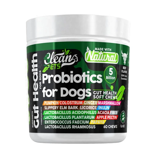 Clean Pets Probiotics for Dogs with Pumpkin, Colostrum, Digestive Enzymes, Ginger, Slippery Elm, Licorice, Inulin Fiber & More | Beef Flavor Soft Chews for Gut Health and Digestion Dog Supplement