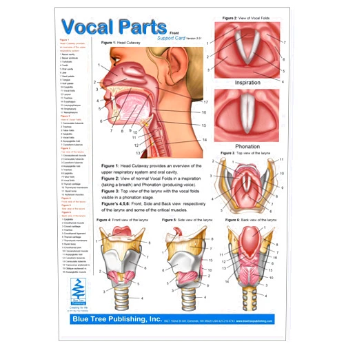 Blue Tree Publishing Vocal Parts (Card)