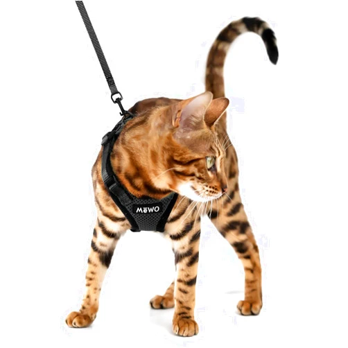 MeWO Cat Harness and Leash Set - Escape Proof, Reflective, Adjustable for a Safe & Snug Fit, Cat Walking Harness and Leash Cat Leash and Harness Set Cat Leashes and Harnesses for Walking Cat Harnesses