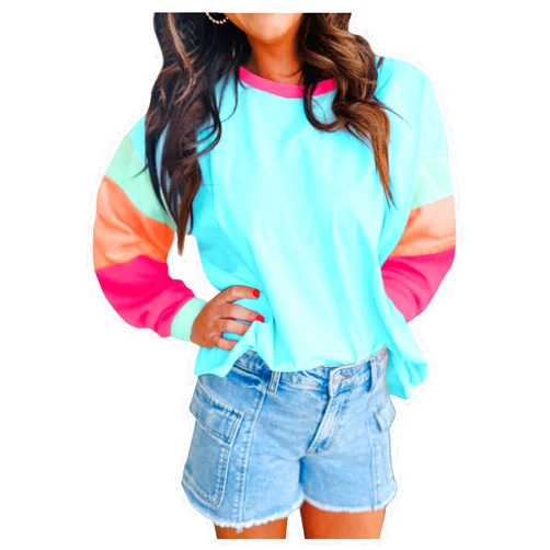 SweatyRocks Women's Color Block Long Sleeve T Shirts Casual Loose Crew Neck Trendy Tops
