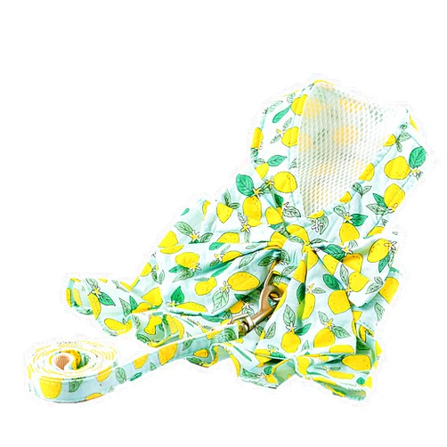 Dora Bridal 2 Pack Dog Dress Harness Vest with Leash, No Pull Cat Small Medium Girl Pet Floral Harness Leash Set, Cute Puppy Fruit Outfit Clothes with Bow, Mesh Princess Costume for Outdoor Walking