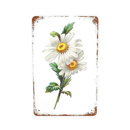 PICFORT Vintage Tin Signs Flowers White Daisy With Dew Drop Metal Sign Retro Wall Decor For Home Cafes Office Store Sign Gift Wall Art Plaque Gift For Women Men 8x5.5 Inch Plaque Tin Sign