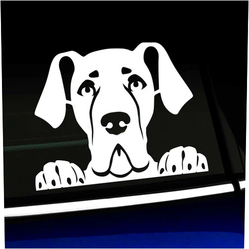 Artistic Reflection Peeking Great Dane - Vinyl Decal - Choose Color - [White]