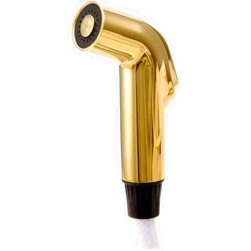 Delta Faucet RP39345PB Spray and Hose Assembly, Polished Brass
