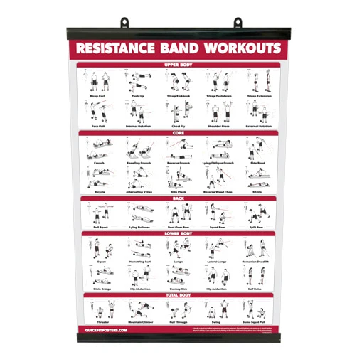 Palace Learning QUICKFIT Resistance Bands Workout Exercise Poster - Double Sided (Laminated with Plastic Frame, 18
