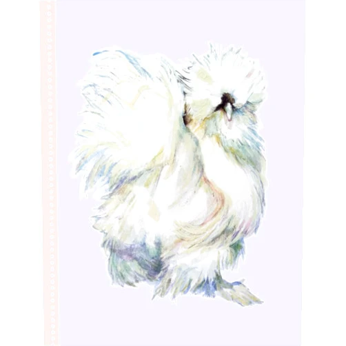 DAJIL FINE ART INC White Silky Chinese Bantam Chicken Notebook for Silkie Hen Lovers: Journal for Tracking Your Backyard Chicken Coop Gift for Women Kids and Men