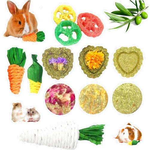 Lacrima Rabbit Chew Toys 12PCS, Guinea Pig Toys, Bunny Toys for Teeth, Chew Toys and Treats for Hamster Chinchilla, Small Animal Teeth Care