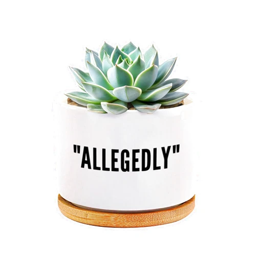 Loovelo Allegedly Lawyer Gifts Ceramic Succulent Plant Pot with Bamboo Tray Round Attorney Law Student Graduation Gifts Plant Lover Home Office Decor 3.5 Inch White (No Plants)