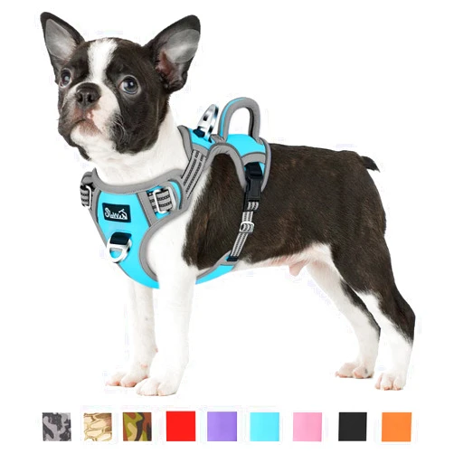 SlowTon No Pull Dog Harness, Heavy Duty No Choke Pet Harness with 2 Leash Clips and Easy Control Vertical Handle, Adjustable Soft Padded Dog Vest for Small, Medium and Large Dogs (Blue, Medium)