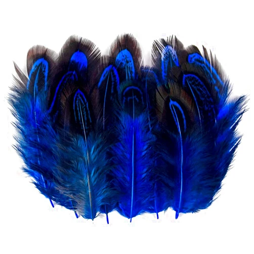 Wanruida 50 Pcs Sapphire Blue Pheasant Feathers 2-3 Inches Plumage for Crafts Clothing Sewing Decorating Accessories