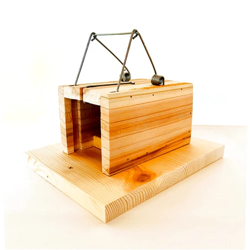 Animal Control Products Little Killer Squirrel Trap for Squirrel & Chipmunk Removal in Homes Gardens Bird Feeders | Wood Choker Style Animal Traps for Yard Rodents | USA Made | Quick & Clean Kill Lethal Trap | Rust Resistant