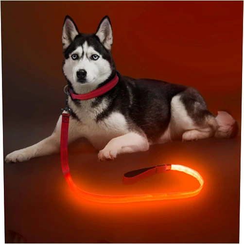 Colaseeme LED Dog Leash Light Up Dog Leash 4 Feet Micro USB Rechargeable Nylon Webbing Glow Safety Standard Dog Leashes for Dogs (Orange with 3 Reflective Wires)