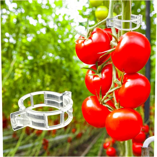 Dalzom® 300Pcs Tomato Clips, Plastic Trellis Clips Plant Support Clips, Plant Clips for Support, Grape Vine, Tomato Vine, Vegetables Plants, Garden Clips to Grow Upright Makes Plants Healthier