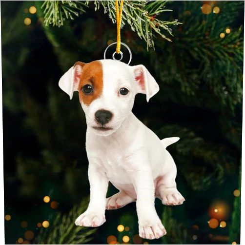 Pawfect House Personalized Photo Dog Christmas Ornaments 2023, Custom Photo Cat Christmas Tree Gifts for Pets, Dog Cat Christmas Ornament, Acrylic Dog Ornaments, Cat Ornaments for Christmas Tree