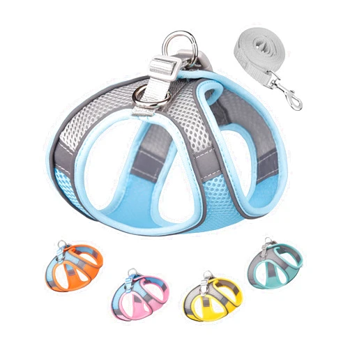 Solmoony Dog Harness for Small Medium Dogs,Easy to Put on Soft Mesh Dog Harness and Leash Set for Kitten and Puppy，Step in Adjustable Dog Harness with Padded Vest (XS, Blue)