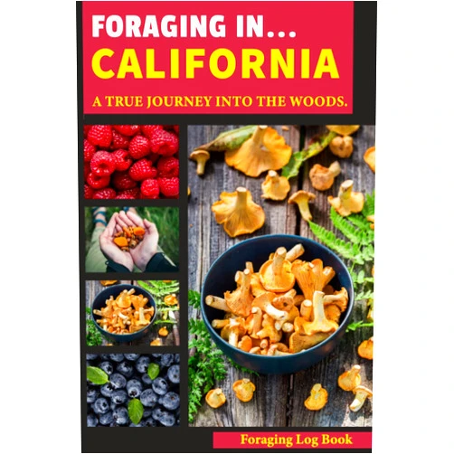 Walton P. Ardis Foraging in California: Foraging Log Book for Local Backyard Gatherers, A True Journey for Exploring New Areas into The Woods, Adventures in Edible Plant Foraging