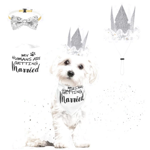 SCENEREAL Dog Wedding Outfit Dress with Bandana Bowite Collar and Crown Hat Set for Dog Girls, Puppy Kitty Party Supplies, Tutu Skirt Costume for Small Medium Large Dogs Girl Cats