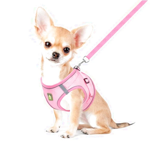 FEimaX Dog Harness and Leash Set, No Pull Breathable Soft Mesh Puppy Vest Harness Reflective Adjustable Pet Harnesses for Small Medium Dogs and Cats - Outdoor Easy Control for Walking
