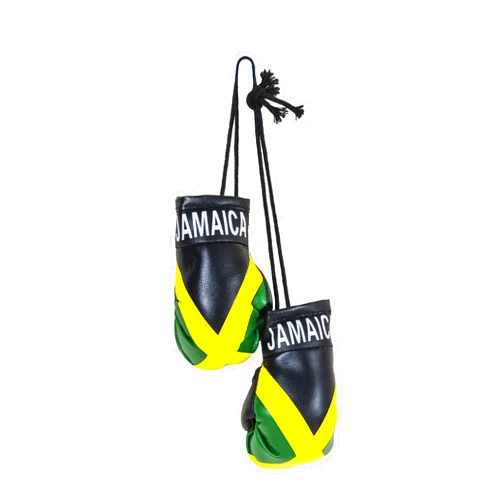 SandT Collection Country Flag Mini Boxing Gloves - Hanging Punching Gloves