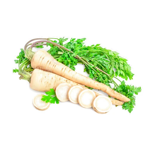 Sunutri Seeds Parsnip Seeds, 200+ Harris Model, Heirloom, Non GMO Seeds.