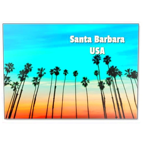 Photomagnet California Sunset Palm Tree Rows in Santa Barbara Fridge Magnet