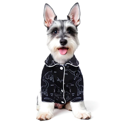 CuteBone Two-Leg Spandex Crystal Velvet Pet Pajamas - Soft, Cozy, and Stretchy Sleepwear for Dogs and Cats LTP08S