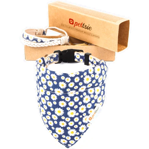 Pettsie Matching Dog Collar, Bandana, Friendship Bracelet, Durable Hemp, 4 Adjustable Sizes, Comfortable and Soft for Sensitive Skin, Carton Box, Strong D-Ring for Easy Leash Attachment, XS, Blue