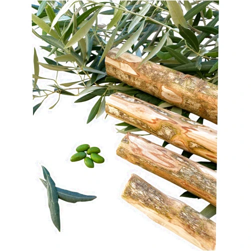 PETQUALITY Show That Love Dog Chew Toy, teether, Stick - Olive Wood - Petquality (Large)