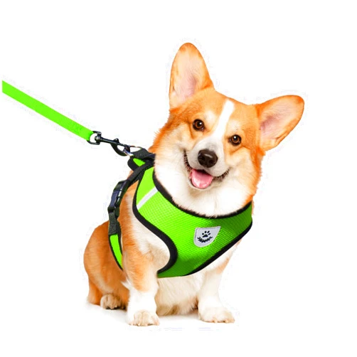 shudyear Dog Walking Chest Harness and Leash, Anti-Escape Adjustable Soft Mesh Dog Leash and Harness Set for Small Dog and Puppies, Vest for Medium Sized Dogs (Green, M)