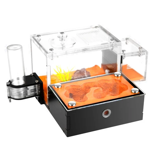 Rimsunta Ant Farm Ant House for ant Farm for Adults Study of Ant Behavior Ant Nest ant Terrarium Educational Formicarium for Live Ants and Queen