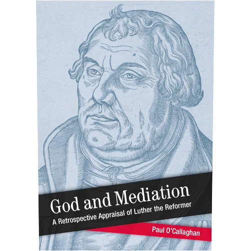Paul O'Callaghan God and Mediation: Retrospective Appraisal of Luther the Reformer (Shapers of Modern Theology)