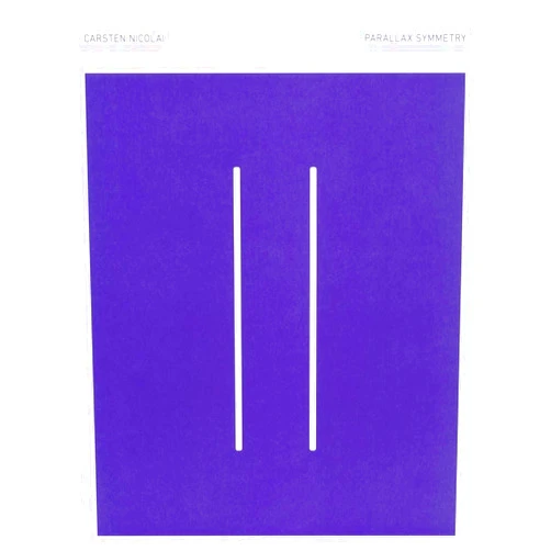 Susanne Gaensheimer,Doris Krystof,Carsten Nicolai,Kathrin Dreckmann,Friedrich Kittler,Rainer Maria Rilke Carsten Nicolai: Parallax Symmetry