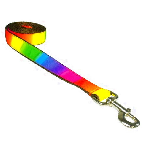 Sassy Dog Wear Medium Rainbow Dog Leash: 3/4