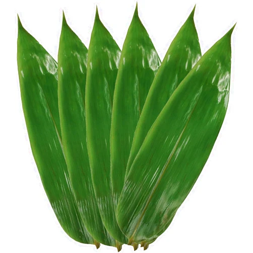 Rainlily Wen Bamboo Leaves 200 Pcs Fresh Leaf Bamboo Zongzi Leaf Banana Leaf Substitutes Sushi Plate Vacuum Bamboo Leaf Wrap Foods Food Decorate