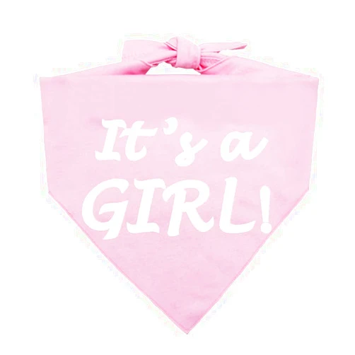Barleygoo It’s a Boy or It’s a Girl Dog Bandana Pregnancy Announcement Dog Bandana Baby Announcement Triangle Pet Scarf Scarves Gender Reveal Photo Prop Pink