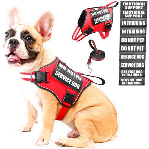 MOOGROU Service Dog Vest Harness and Leash Set+10 Patches,No Pull&Adjustable Reflective Dog Harness with Soft Padded Handle for Training/Everyday,Fit Small/Medium/Large/Extra-Large Dogs(Red M)