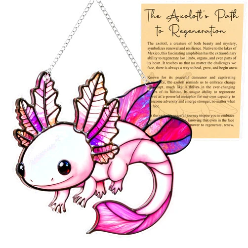 DINIZON Axolotl Christmas Ornament, Beach Ornaments for Tree, Sea Turtle Gift for Women, Beach Gifts for Women, Christmas Stocking Stuffers Ideas, White Elephant Gifts (Axololt)