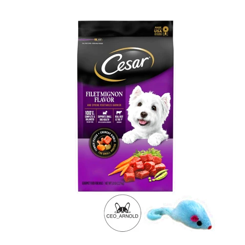 CEO_ARNOLD Cesar Dog Food for Small Dogs (1 Bag) of Cesar Dry Dog Food for Small Dogs Filet Mignon with Spring Vegetables Flavor (5 LB) with 1 Mouse.