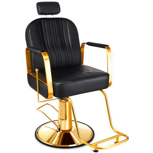 Baasha All-Purpose Reclining Black and Gold Salon Chair with Adjustable Headrest, Comfortable Hair Chair with Heavy-duty Hydraulic Pump, Memory Sponge, 360 Swivel, Tattoo Chair, Weight Capacity 440lbs