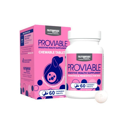 Nutramax Laboratories Proviable Digestive Health Supplement Multi-Strain Probiotics and Prebiotics for Dogs, With 7-Strains of Bacteria, 60 Chewable Tablets