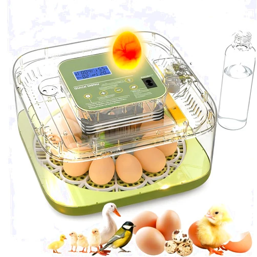 XOTTI Incubator for Hatching Egg, 12 Egg Incubators with Temperature and Humidity Control, Automatic Turner, Candler, 360° Viewing for Dry Hatch Chicken, Duck, Quail, Goose, Parrot and Pigeon